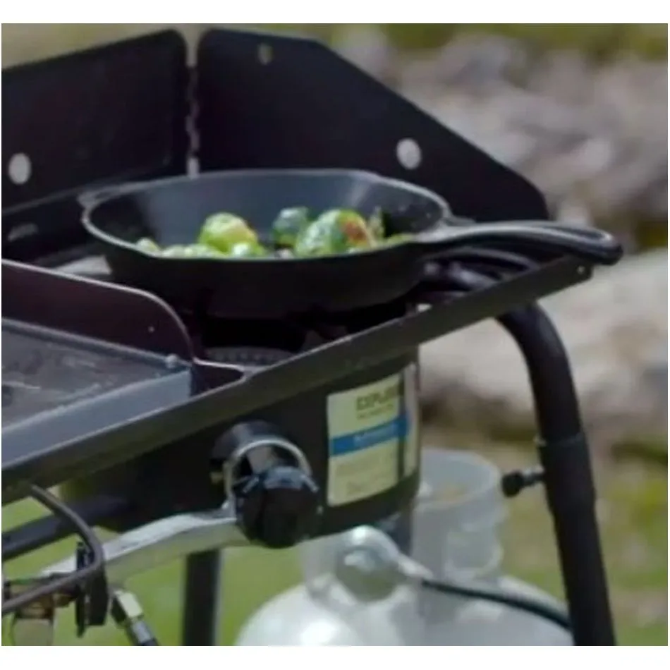 SEASONED SKILLET 10